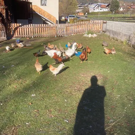 Haus File * Imst